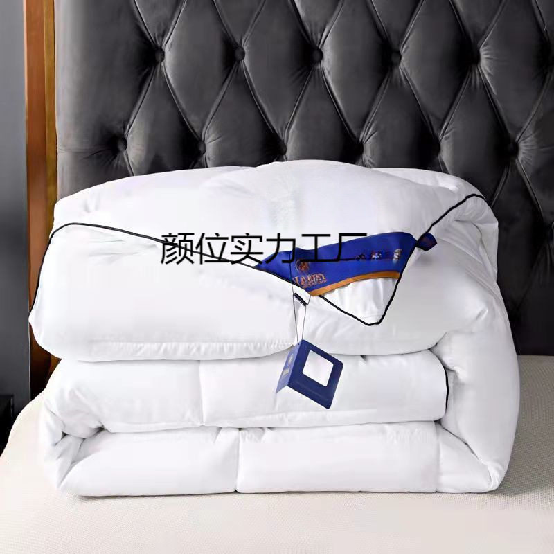 Quilt Hotel Winter Quilt Thickened Feather Velvet Quilt Double Student Dormitory Quilt Core Spring and Autumn Orchid