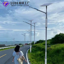 太阳能灯;道路照明灯;庭院灯