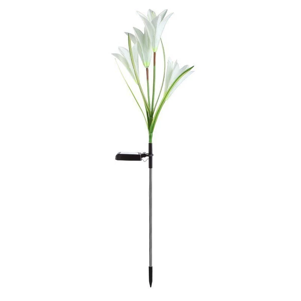 White four-headed lily