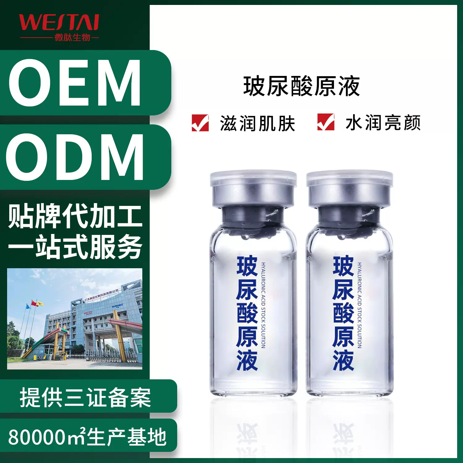 OEM玻尿酸原液补水收细毛孔嫩肤滋润保湿安瓶玻尿酸面部精华液批