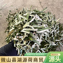 lșĺ~軨~òɢb؛1000˺~z