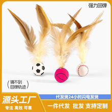 ����������؈���������������߿羳�����򒁔S������W�t����