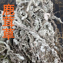 Ұɽ¹�ײ�500�˰��] ����˪ �׵���� ��ë¹�ײ� ǧ������