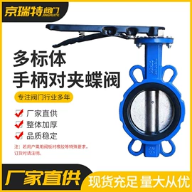 蝶阀;阀体;止回阀