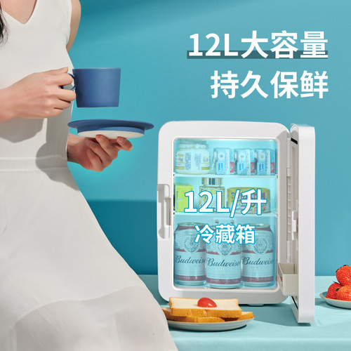 Makeup mirror refrigerator facial mask one-time delivery expert cross-border exclusive fruit and beverage preservation car-mounted cooling box