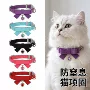 桃心新款时尚小狗猫项圈