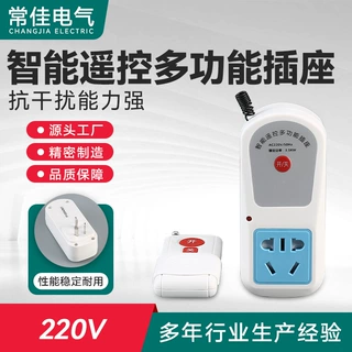 智能无线遥控多功能插座 定时开关 家用免布线灯水泵大功率电源器