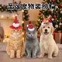 三角新品猫猫系列帽子