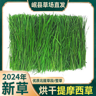 ������Ħ���ɕ�ɺ��ȫ�~�������ӼZ��؈������m�i�����