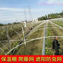 �r��С����֧���߲�ֲ��Nֲ֧�ܲ����w�S���o�|���w��