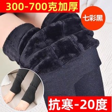 2024秋冬新款保暖裤600g加绒加厚七彩棉一体打底裤大码女外穿踩脚