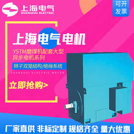 上海电气集团上海电机厂电动机YSTM磨煤机配套大型异步1400kW厂商