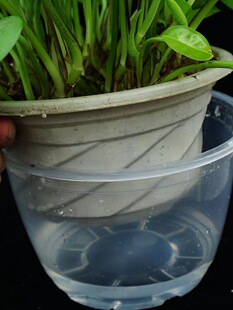 �G�}�����Ԅ�͸����ˮ���������Ի����бP�͏dˮ��ֲ��