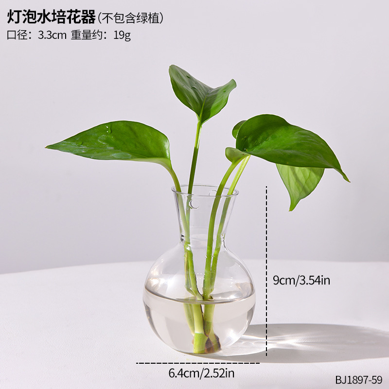 インスタイル木製フレーム水耕栽培透明花瓶ポトス植物フラワーアレンジメントリビングルームオフィスデスクトップクリエイティブ装飾|undefined