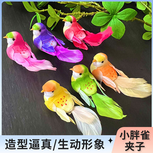 �����S��؛ԴС��ȸ�A�ӿ���ĭ��ƷС�B�b�С��ȸ�A�ӿ�����B