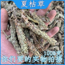 成都批 发夏枯草1000克白毛夏枯球夏姑草夏菇草野生夏谷草