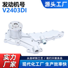ˮ������ñ���V2403DI���� V2403 1G928-73034 1G928-73032