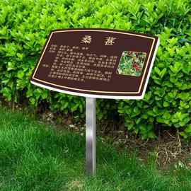 树牌学校公园不锈钢插地牌子绿化信息标识牌树木户外指示牌广告牌