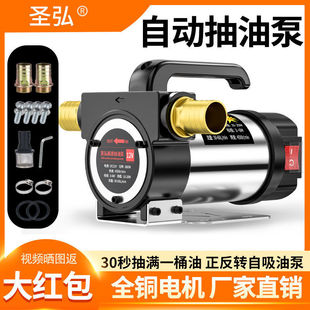 Shenghong Positive and Negative Electric Oil Pump 12V24V220V Self-Priming Pump Oil Pump Diesel Pump Refueling Machine Pump
