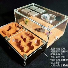蚂蚁城堡S 活动区可折分体巢 蚂蚁帝国工坊家园城堡学生蚁巢