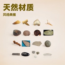 �F؛��ʯ�˱������ﻯʯ���X�����ʯֱ��ʯֲ�ﻯʯԭʯ�̌W�˱�