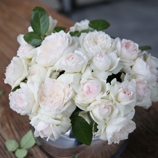 һ�����l�¼������粨�R�_���������ļ��_�����̨ͥԺ�S����ɫ