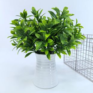 �����~ �����~ ���滨���ϻ��ٻ� �ֈ@�G�� �Ƶ��b� ֲ�����