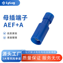 ����ȫ�^���ӏ��^��ĸ�����䉺�Ӿ�����156/195늾����Ӿ�����