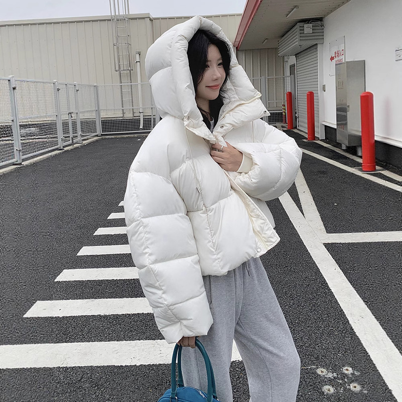 American Kendall Jenner Style down Cotton Jacket for Women 2025 Winter New High-Value Warm Comfortable Three-Dimensional Slim Fit