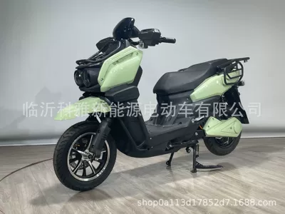 New Model of Tank-Style Electric Vehicle for Adults, High-Speed Electric Motorcycle, Long-Distance King, Hill-Climbing King, Electric Scooter, Electric Motorcycle Factory (Elektrikli motosikletlər) - 2000w-bare-bike-without-battery-charger