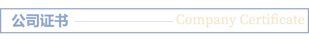 公司证书