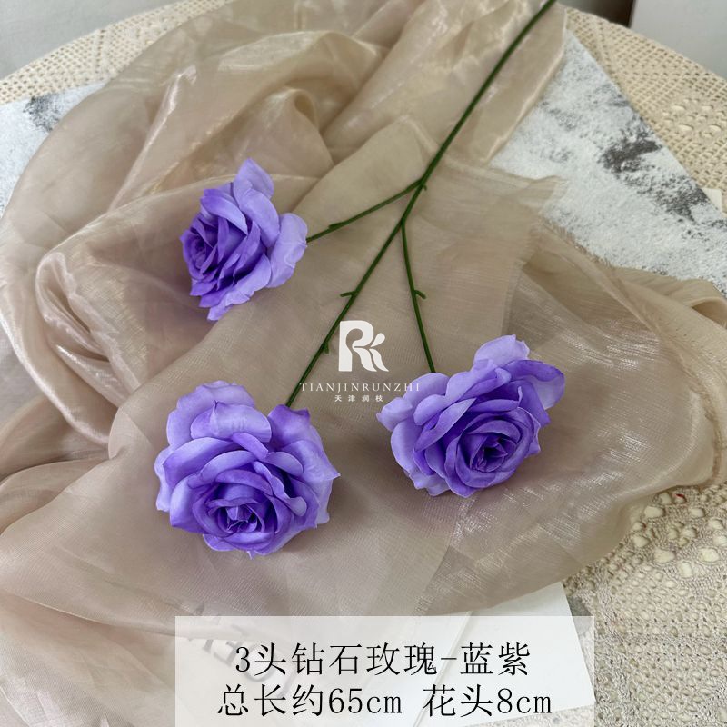 일반 다이아몬드 로즈 블루 퍼플