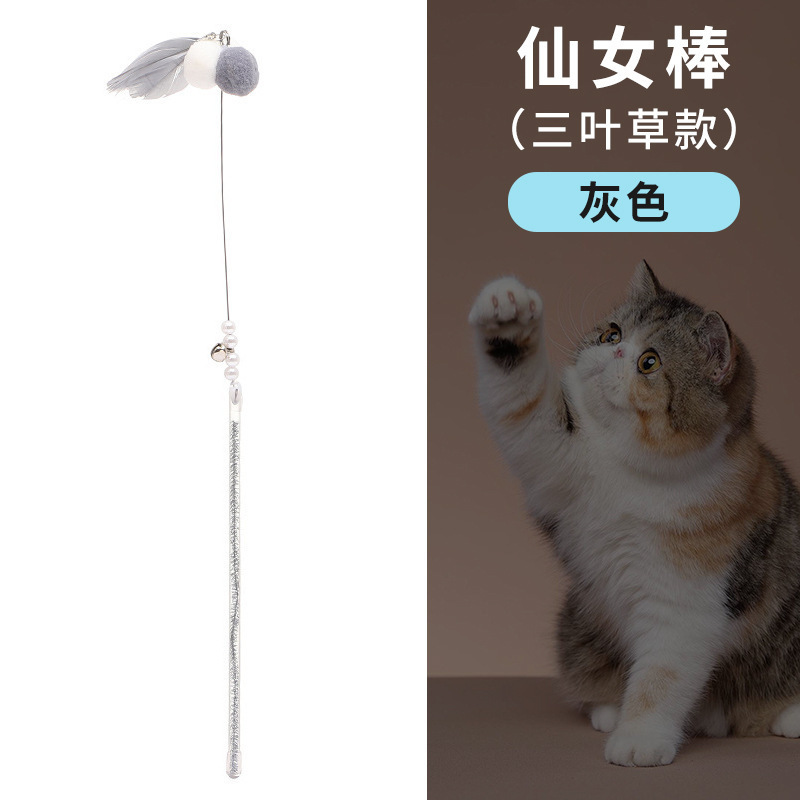 그레이 클로버 모델