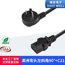 ����10A���� ��б��90�Ȳ��^�D IEC320 C21���ΙMƷ��β�Դ��