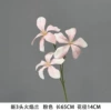 New 3-head flame orchid