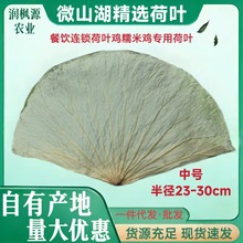 中号整张荷叶微山湖精选优质整张干荷叶做荷叶饭叫花鸡糯米鸡包邮