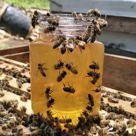 蜂蜜农家正原味野生百花洋槐枣花结晶美容养颜土蜂蜜厂家直销代发