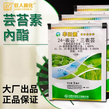 24��̦ܿ�؃����̨�س�28�߱����T�S481���S��14�u��ֲ��