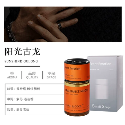 Car Fragrance, Automatic Car: Car Perfume Aromatherapy - sunshine-cologne