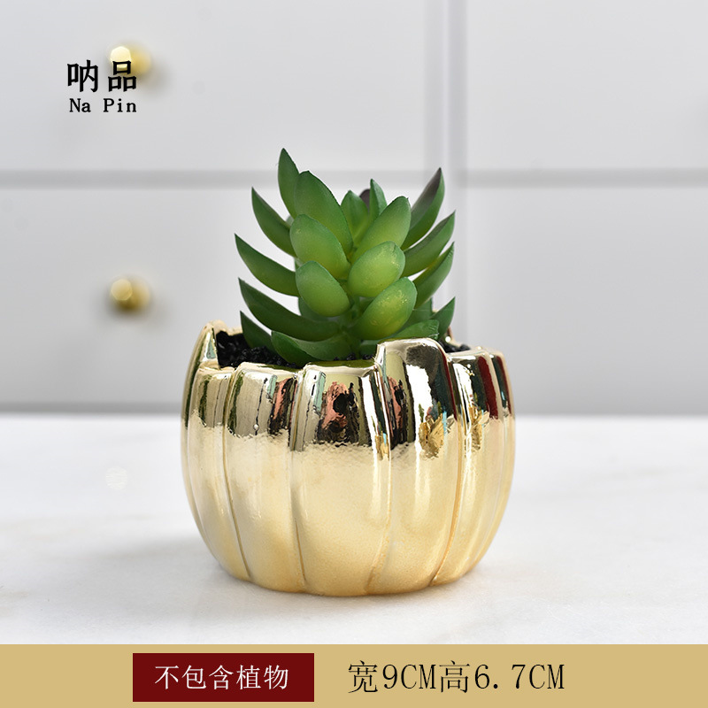 Maceta suculenta de cerámica con baño dorado, estilo fruta