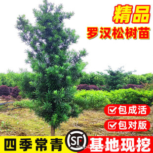 �_�h�ɘ����������~ȸ����ͥԺ���Ե��Ԙ��������辰���F�G����