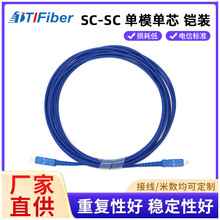 特瑞通电信级LSZH铠装光纤跳线单模单芯抗压防鼠延长线SC-SC