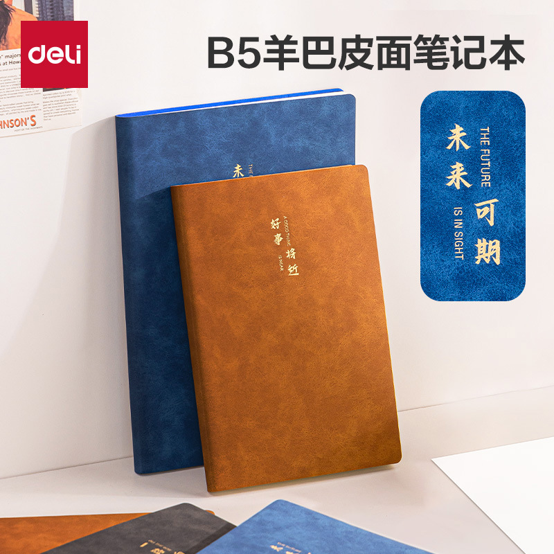 Deliky B5 cuaderno de cuero de oveja cuaderno de cuero de cuero suave engrosado escritorio de negocios actas de reuniones