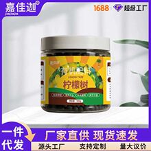���ʘ���ϙ��ʷʼ�ͥ�����ЙC���҃����������Ә�ͨ�÷�