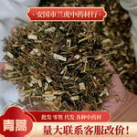 中药材香蒿500g批发青蒿桐臭蒿子臭蒿黄蒿新货量大价优香蒿青蒿