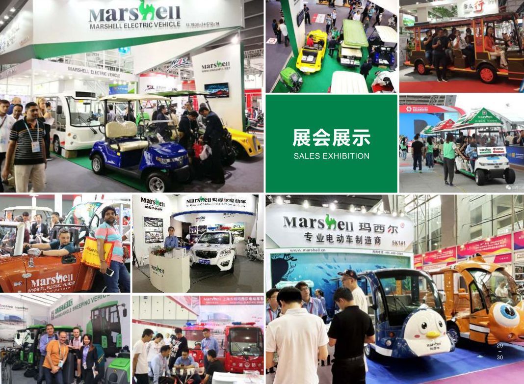 Masel Dg-C4+2-8 Golf Cart Scenic Spot Green Travel Sales Department Room Electric Sightseeing Car