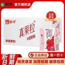 6月产蒙牛小真果粒草莓味牛奶125mL*20/40盒整箱特价常温乳饮品迷