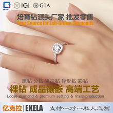 IGI�J�C�ɏ͙zPT950�K����A����������ʯ��ָ���޶��ƿ羳����