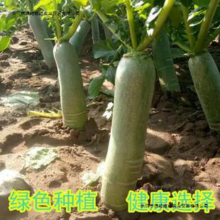 �H��ˮ���}��10��ɽ�|�خa�H�hˮ���}���H�����}�����ɳ�C�}��