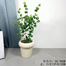 ���~�ž���������k���҃��̨����Gֲ������Ȥ�W�tֲ���ͺ����B